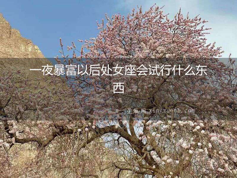 一夜暴富以后處女座會試行什么東西