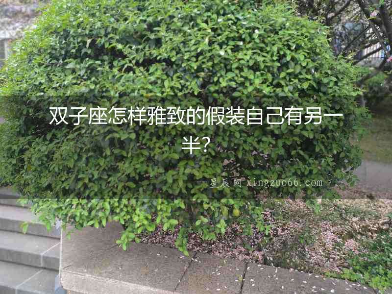 雙子座怎樣雅致的假裝自己有另一半？
