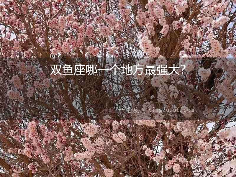 雙魚座哪一個地方最強大？