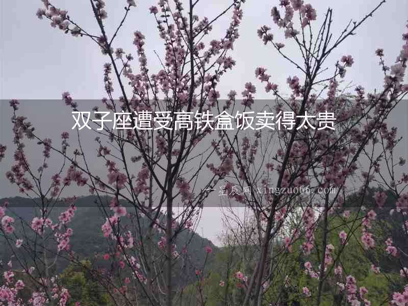 雙子座遭受高鐵盒飯賣得太貴