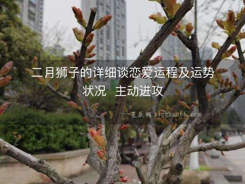 二月獅子的詳細談戀愛運程及運勢狀況  主動進攻