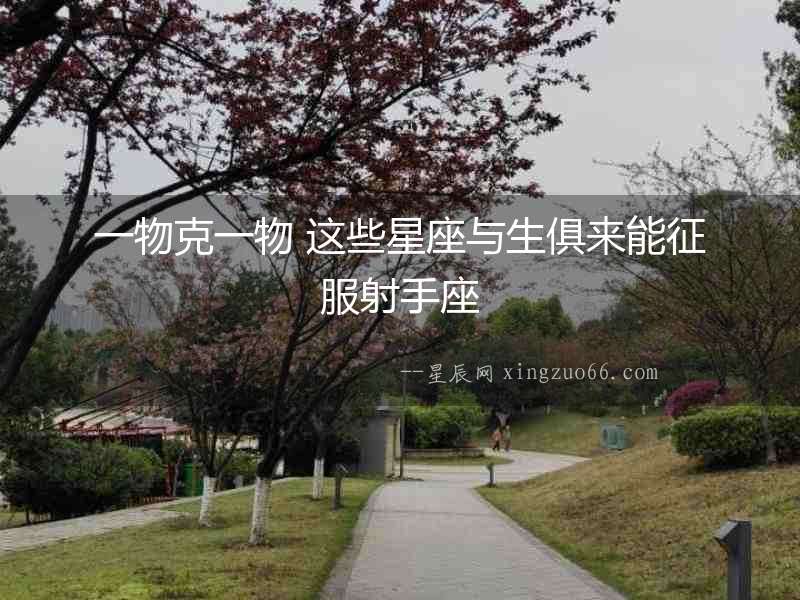 一物克一物 這些星座與生俱來能征服射手座
