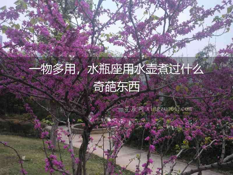 一物多用，水瓶座用水壺煮過什么奇葩東西