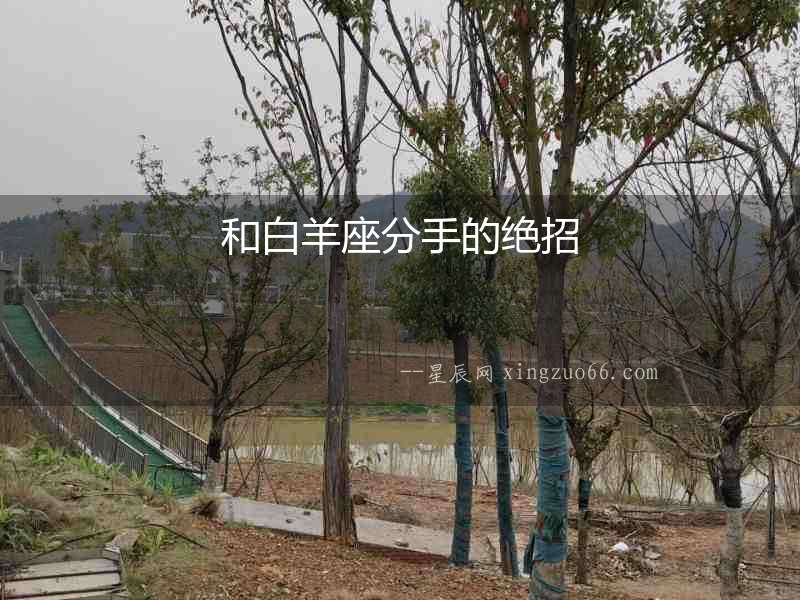 和白羊座分手的絕招