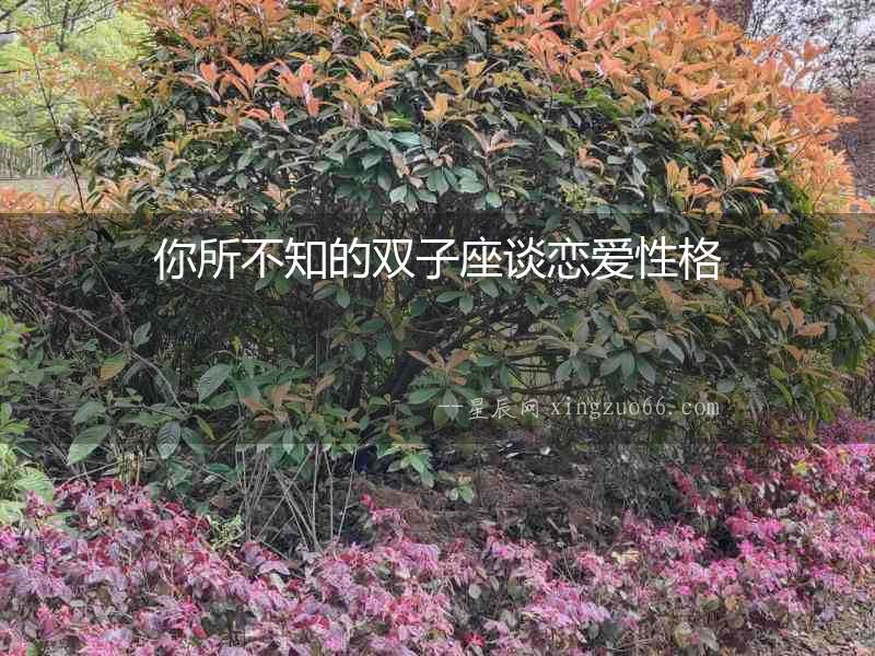你所不知的雙子座談戀愛性格