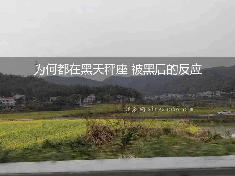 為何都在黑天秤座 被黑后的反應(yīng)