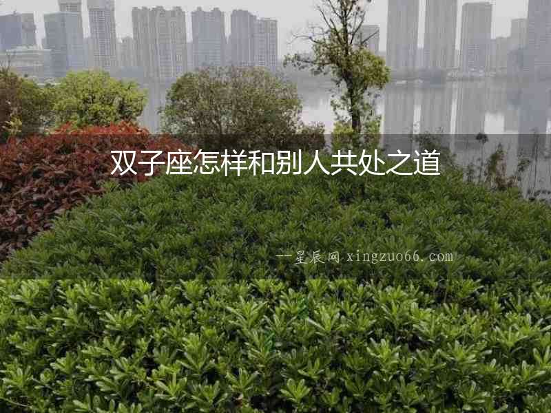 雙子座怎樣和別人共處之道
