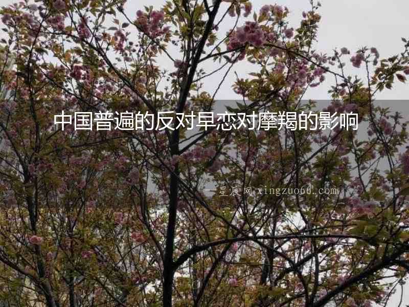 中國普遍的反對早戀對摩羯的影響