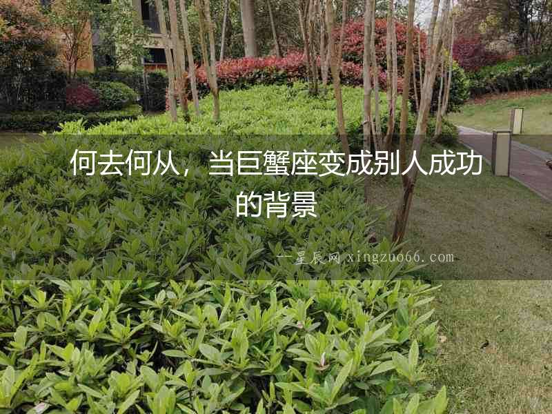何去何從，當(dāng)巨蟹座變成別人成功的背景