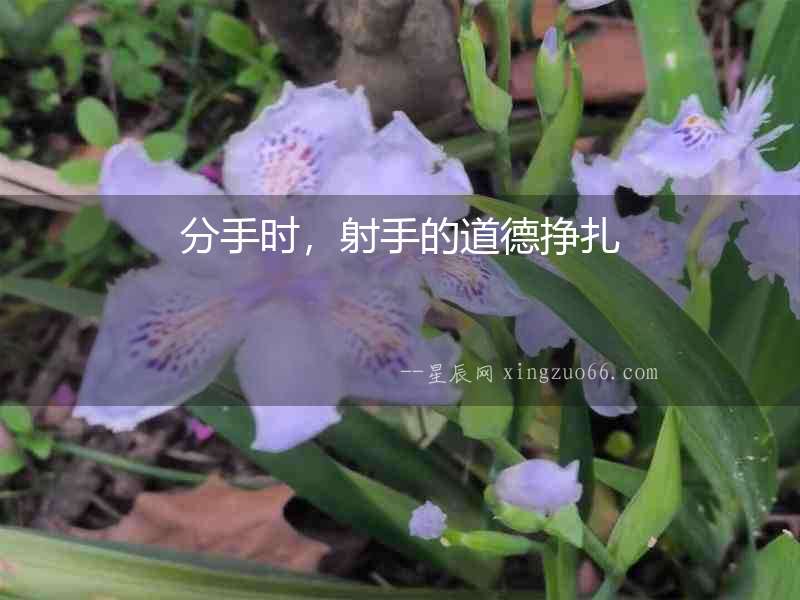 分手時，射手的道德掙扎