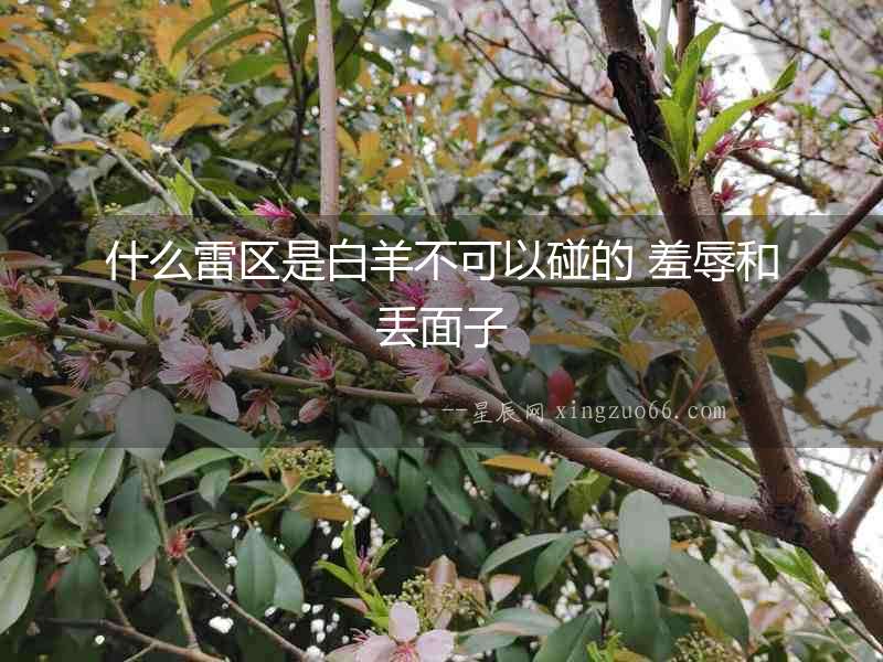 什么雷區是白羊不可以碰的 羞辱和丟面子