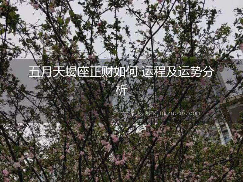 五月天蝎座正財如何 運程及運勢分析