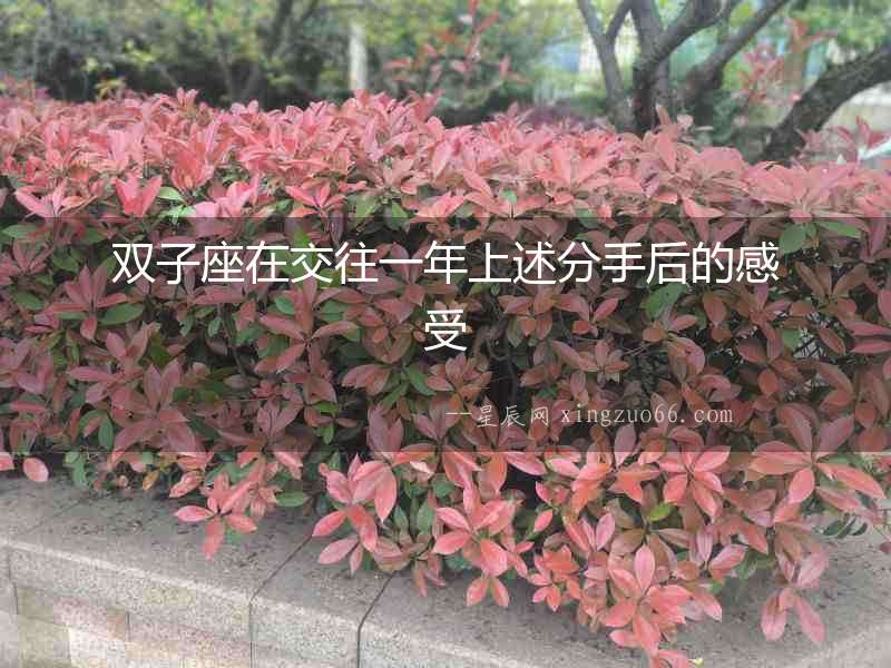 雙子座在交往一年上述分手后的感受