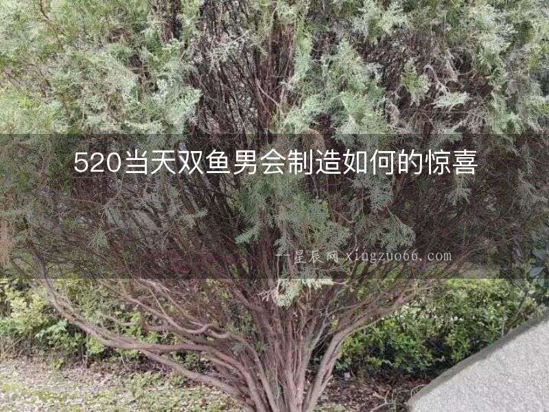 520當天雙魚男會制造如何的驚喜