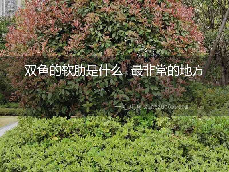 雙魚的軟肋是什么  最非常的地方