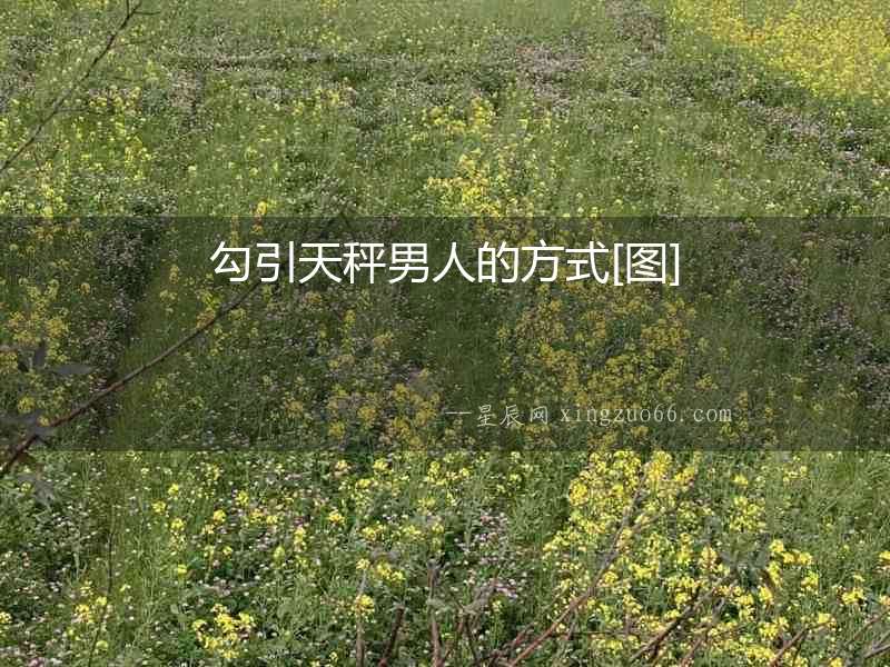 勾引天秤男人的方式[圖]