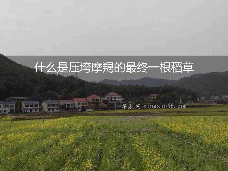 什么是壓垮摩羯的最終一根稻草