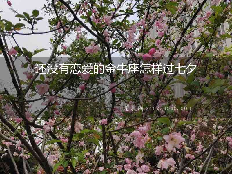 還沒有戀愛的金牛座怎樣過七夕