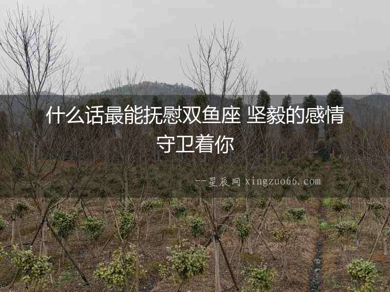 什么話最能撫慰雙魚座 堅毅的感情守衛著你