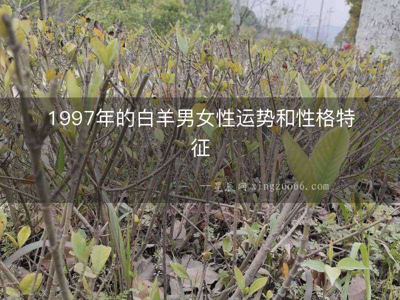 1997年的白羊男女性運(yùn)勢(shì)和性格特征
