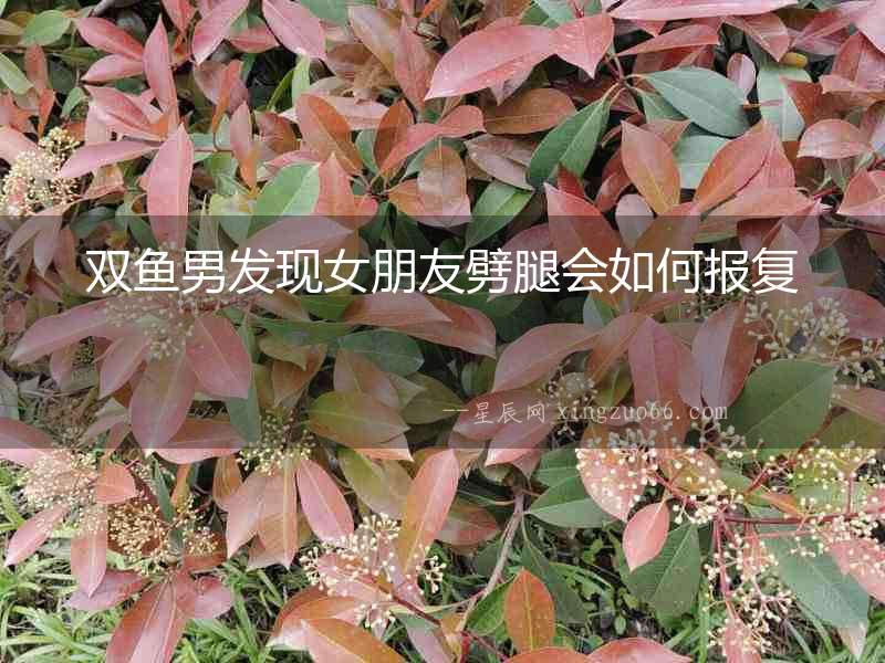 雙魚(yú)男發(fā)現(xiàn)女朋友劈腿會(huì)如何報(bào)復(fù)