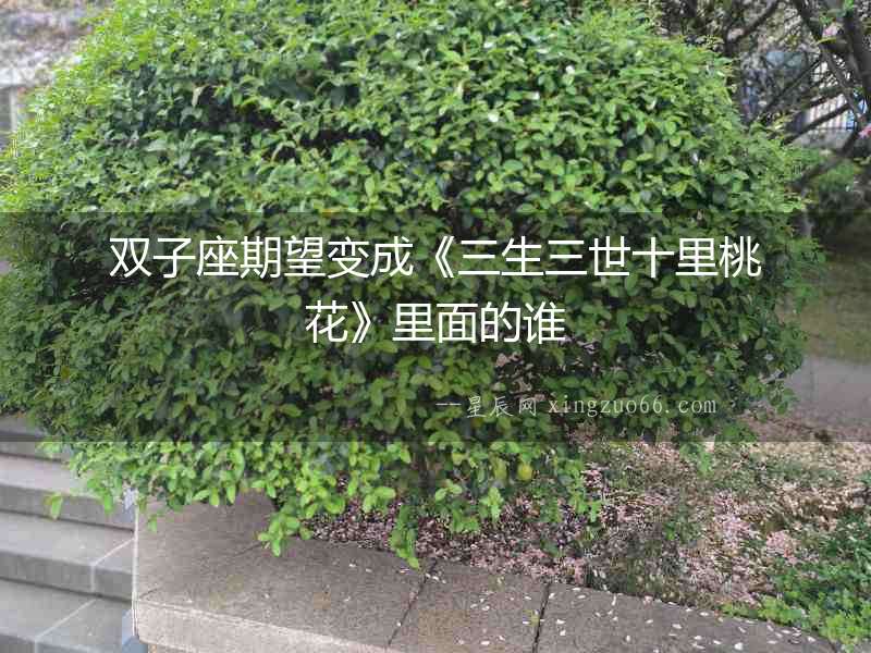 雙子座期望變成《三生三世十里桃花》里面的誰