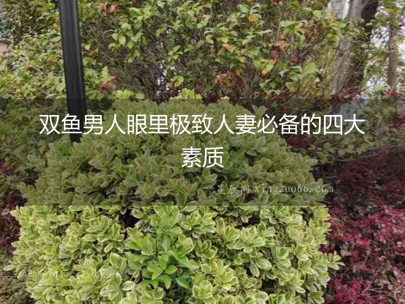 雙魚男人眼里極致人妻必備的四大素質(zhì)