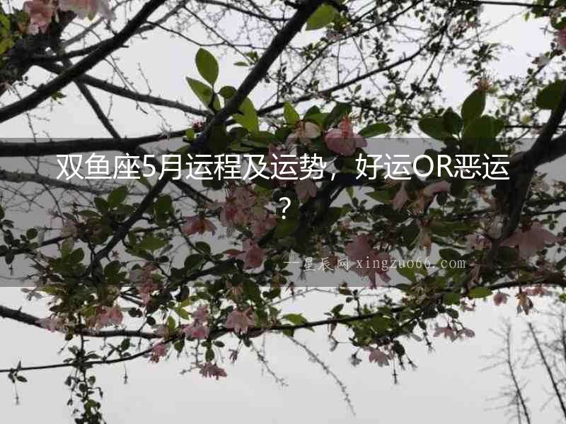 雙魚座5月運程及運勢，好運OR惡運？