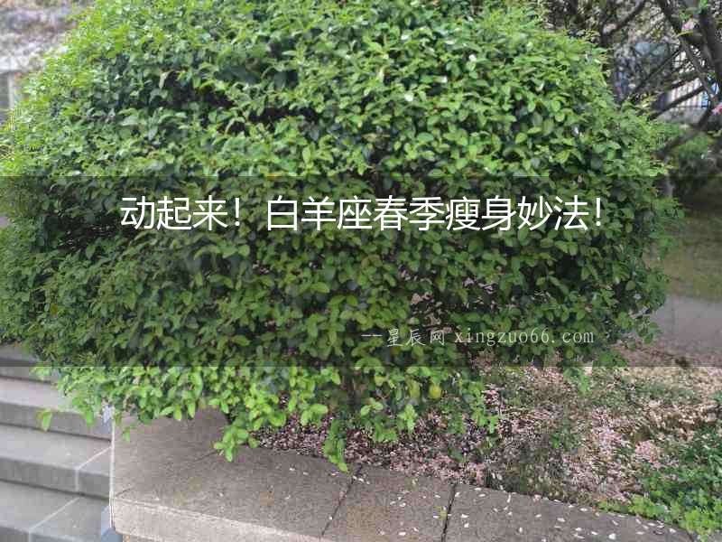 動(dòng)起來！白羊座春季瘦身妙法！