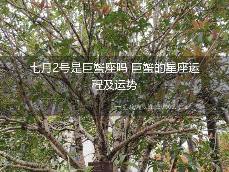 七月2號是巨蟹座嗎 巨蟹的星座運程及運勢