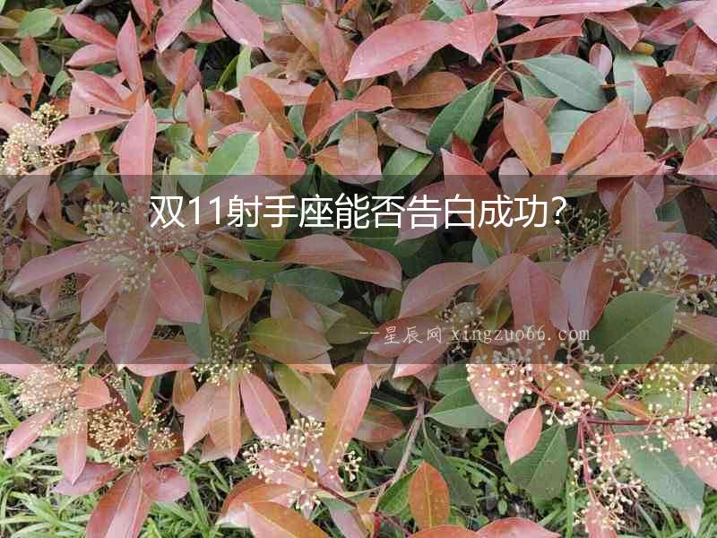 雙11射手座能否告白成功？