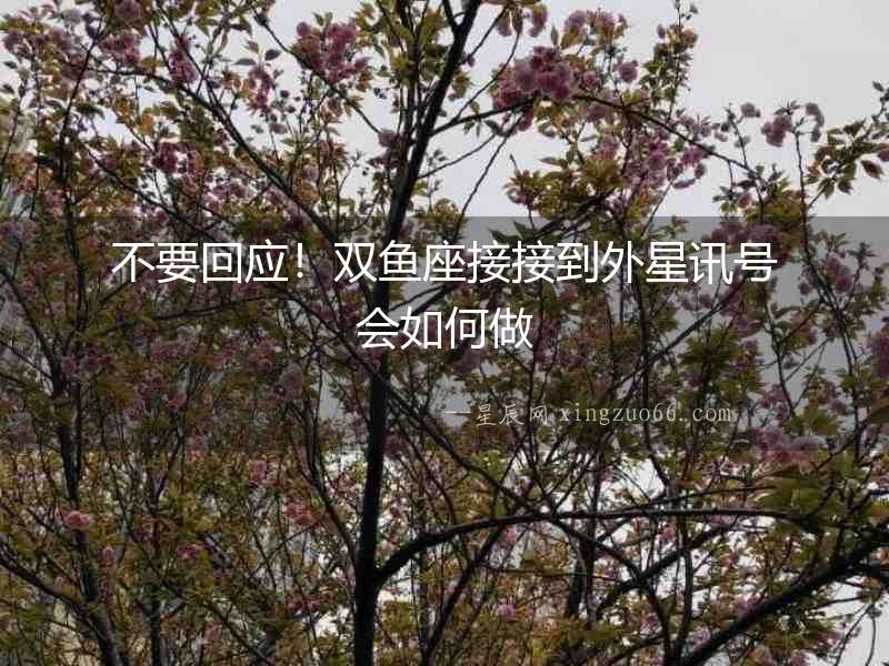 不要回應！雙魚座接接到外星訊號會如何做
