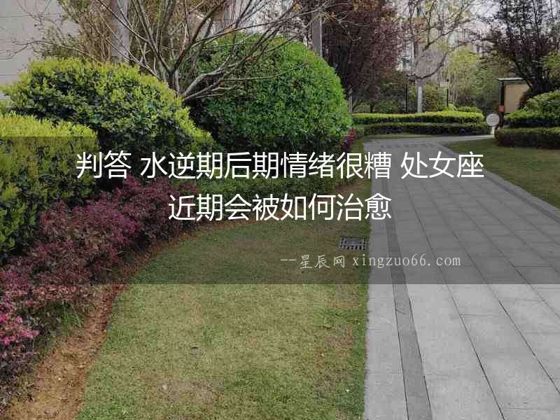 判答 水逆期后期情緒很糟 處女座近期會被如何治愈