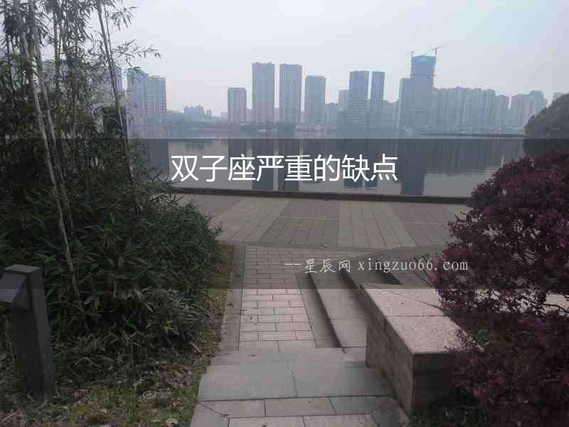 雙子座嚴重的缺點