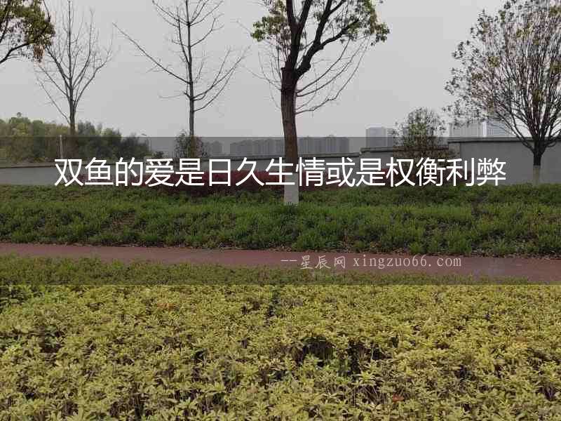 雙魚的愛是日久生情或是權衡利弊