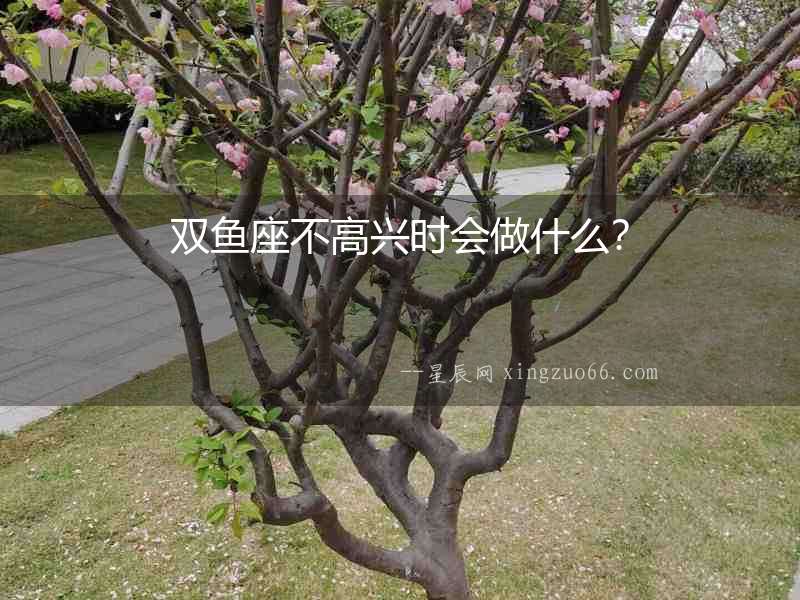 雙魚座不高興時會做什么？