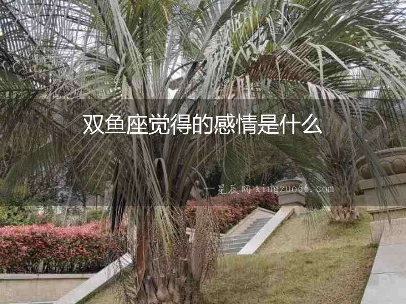 雙魚座覺得的感情是什么
