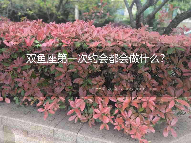 雙魚座第一次約會都會做什么？