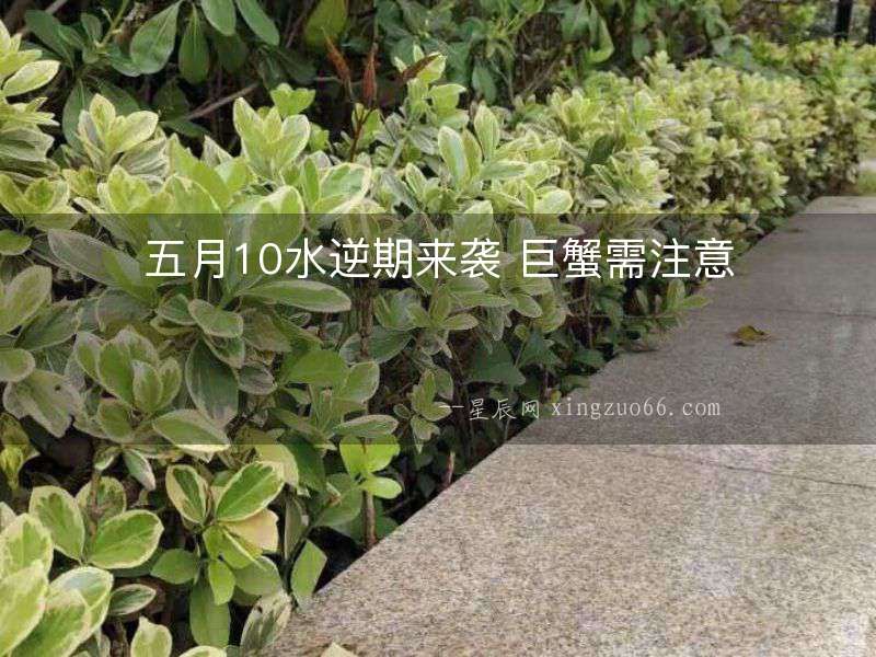 五月10水逆期來襲 巨蟹需注意