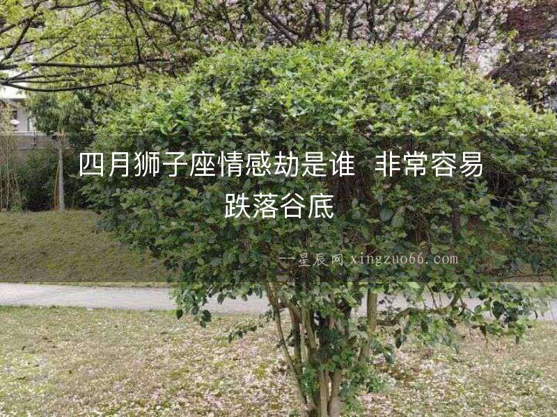 四月獅子座情感劫是誰  非常容易跌落谷底