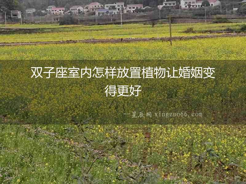 雙子座室內怎樣放置植物讓婚姻變得更好