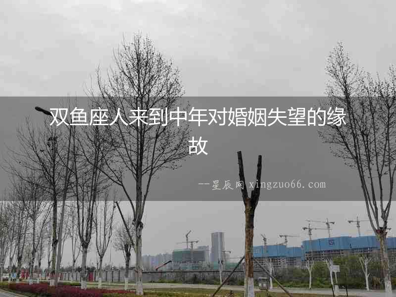 雙魚座人來到中年對婚姻失望的緣故