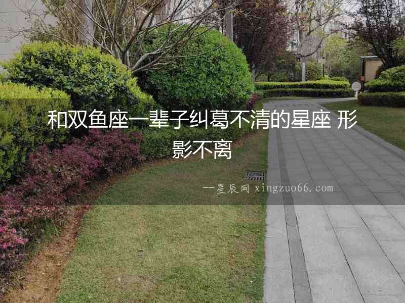 和雙魚座一輩子糾葛不清的星座 形影不離