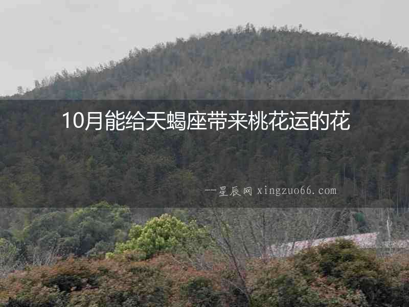 10月能給天蝎座帶來桃花運(yùn)的花
