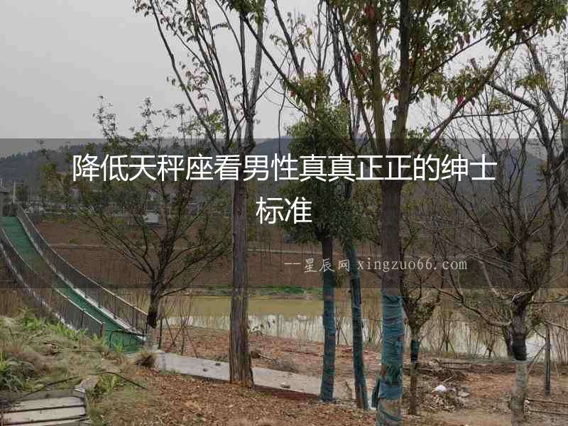 降低天秤座看男性真真正正的紳士標準
