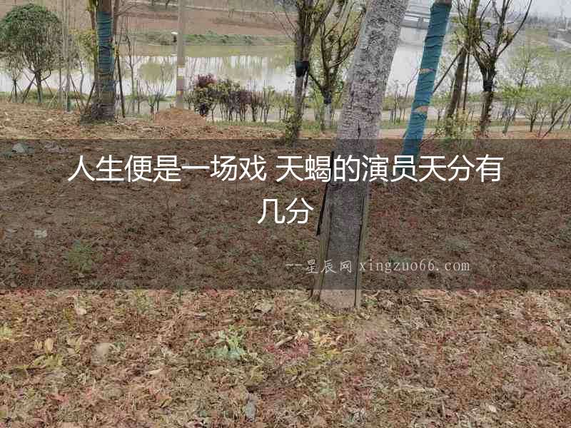 人生便是一場戲 天蝎的演員天分有幾分