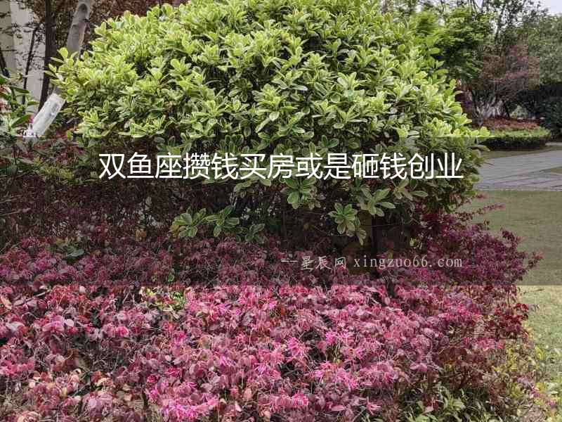 雙魚座攢錢買房或是砸錢創(chuàng)業(yè)