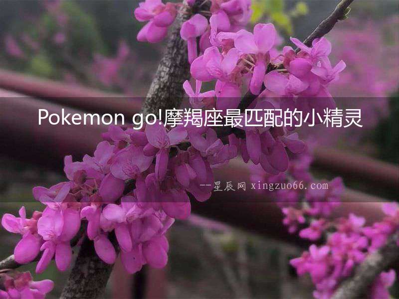 Pokemon go!摩羯座最匹配的小精靈