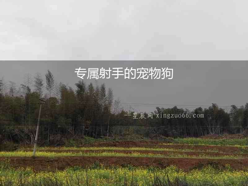 專屬射手的寵物狗