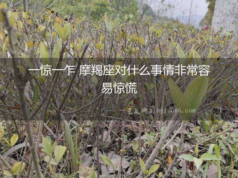一驚一乍 摩羯座對什么事情非常容易驚慌